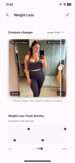 VisLog App Demo